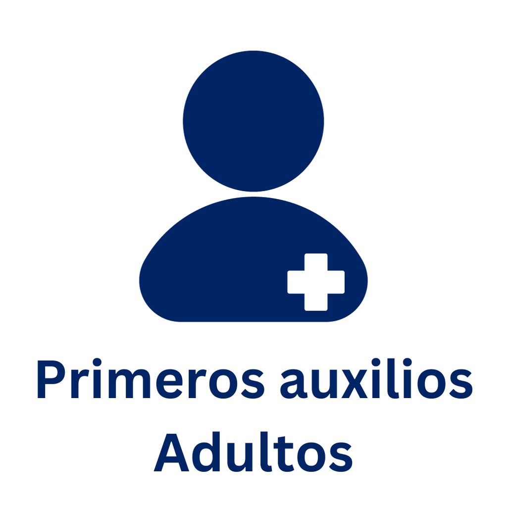 ONL01 - Primeros Auxilios Básicos Adultos